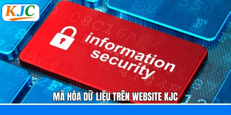 Chính Sách Bảo Mật – Cam Kết An Toàn Tại Hệ Thống KJC