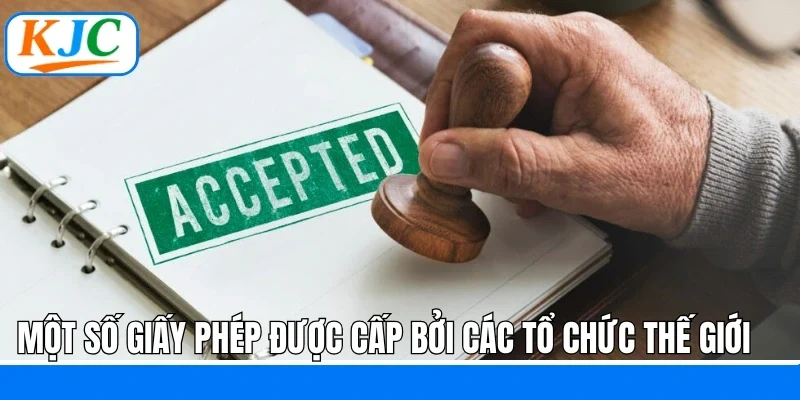 Giấy Phép Hoạt Động - Khẳng Định Sự Uy Tín Của Liên Minh KJC