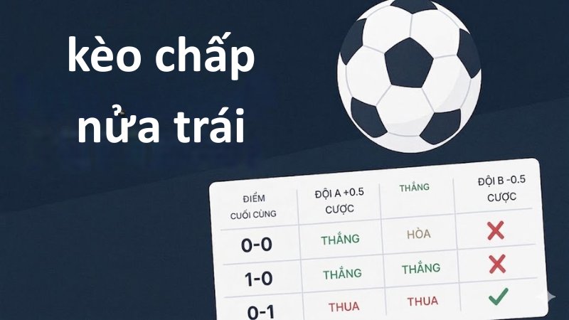 Kèo chấp BK8 - Cách đọc tỷ lệ & mẹo soi kèo luôn thắng